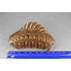 Brown leaf hair clip claw butterfly clamp 4 inches long