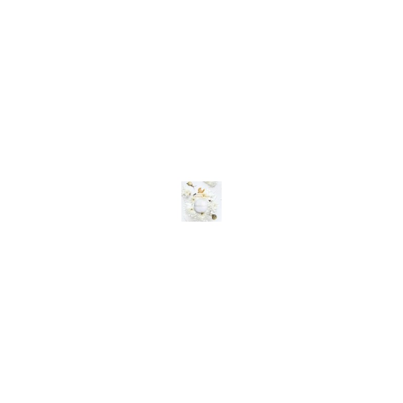 Bidam Eun Vita Collagen Snail Wish Whitening Cream 50g /