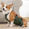 Large Dog Belly Band Waterproof Breathable Full Protection Easy to