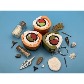 Unbranded Sushi Keychain Filled With Tiny Ocean Treasures Mysteries Fossils Shark Tooth