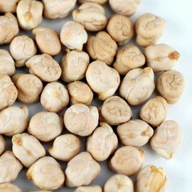 Handy Pantry Dried Garbanzo Beans- Organic Sprouting Seeds - 35 Lbs Brand - Dry Garbonzo Bean/Seeds - for Planting, Gardening, Hummus, Cooking, Food Storage, Sprouts