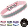 Collar reflectante para cachorros, perros y gatos, color rosa, talla