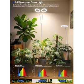 GLOWRIUM Grow Lights for Indoor Plants, Full Spectrum LED Grow Light Floor Lamp with Stand Adjustable Height and Angle, Black Plant Light with 3/9/12H Grow Light Timer (White, 20W)