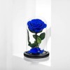 Preserved Roses Royal Blue Roses in Glass Dome, Medium, Preserved