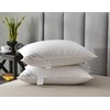 Eastwarmth Goose Down Feather Hotel Collection Bed Pillow for Sleeping,100%