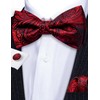 Barry.Wang Paisley Floral Bow Ties for Men Pre Tied Bowtie