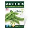 Organic Snap Pea Seeds (Sugar Daddy) - Approx 75 Seeds