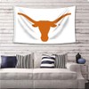 LCFHOME Longhorns Flag Texas Team White Banner with Two Metal