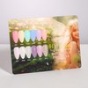 HYBRID GEL POLISH BUTTERFLY PRINCESS Collection 7