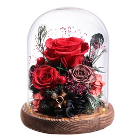 lovenfold Flowers for Delivery Prime Preserved Rose Gifts for Her,Long-Lasting Real Roses Flowers in Glass Dome,Mothers Day Birthday Gifts for Women Mom Wife Friend(Red Rose)