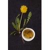 Health Embassy Dandelion Root | Taraxacum Officinale L | Herbal