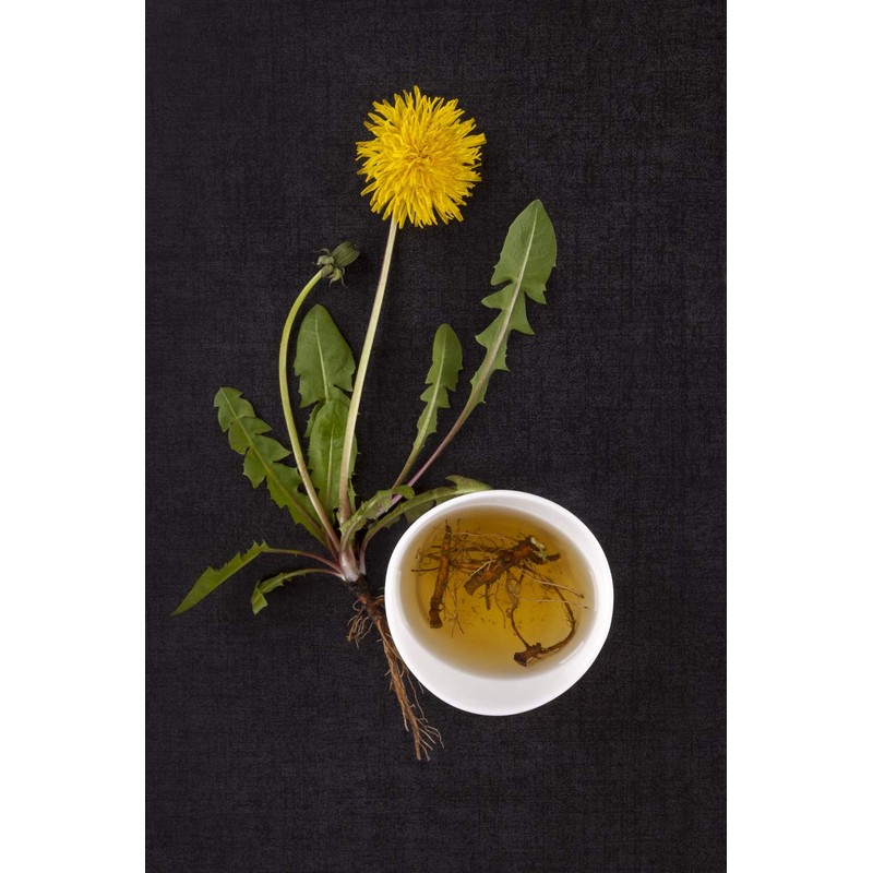 Health Embassy Dandelion Root | Taraxacum Officinale L | Herbal