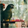 Generic 1Set Bird Stacking Ring for Parrots Interactive Wood Training