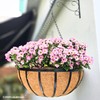 LaLaGreen Outdoor Hanging Baskets for Plants (2 Pack, 20 Inch)