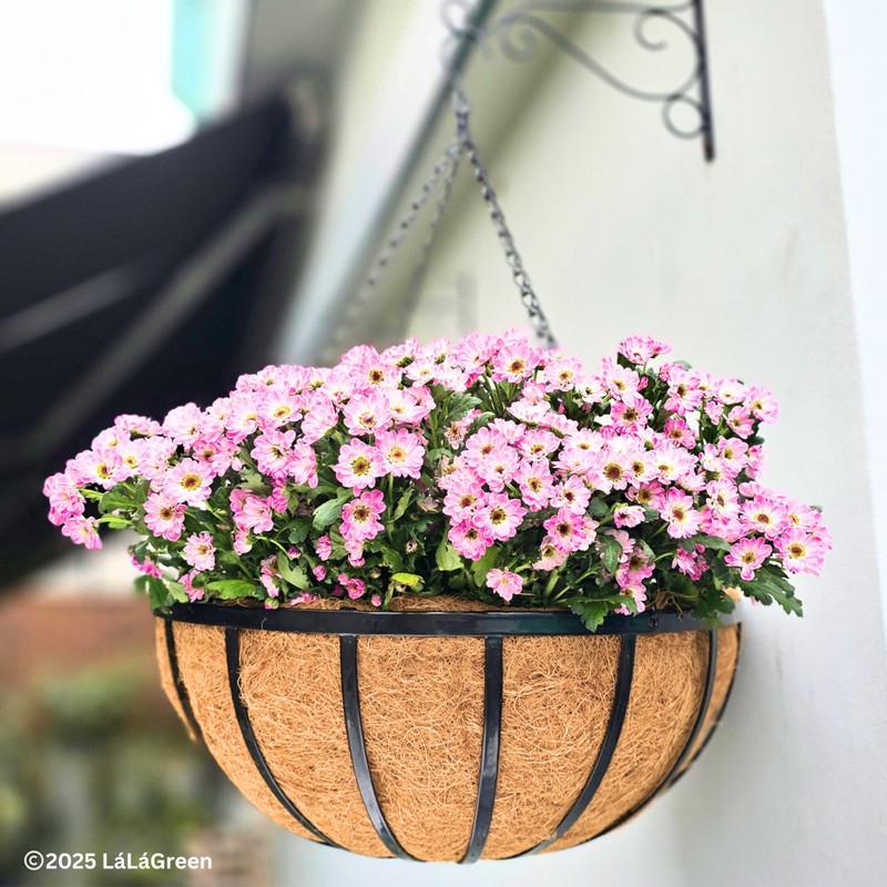LaLaGreen Outdoor Hanging Baskets for Plants (2 Pack, 20 Inch)