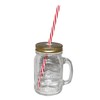 Glass Drink Jar 13.8 fl oz (380 ml) with Straw,