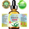 Botanical Beauty EUCALYPTUS ESSENTIAL OIL 100% PURE Natural Undiluted THERAPEUTIC
