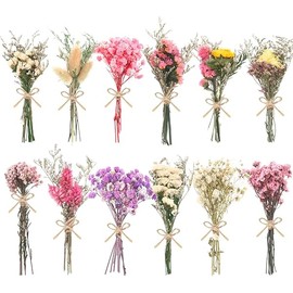 12/24 Pack Dried Flowers for Vase Various Mini Bouquet Dried Small Wildflowers Natural Real Flowers Bulk for Crafts DIY Wedding Decor (12, Multicolor)
