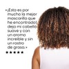 L'Oréal Professionnel Paris Absolut Repair Shampoo 500ml