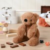 Hampton the Plush Teddy Bear – 35 cm Soft Stuffed