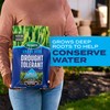 Scotts Grass Seed Drought Tolerant Mix, Kentucky Bluegrass and Tall