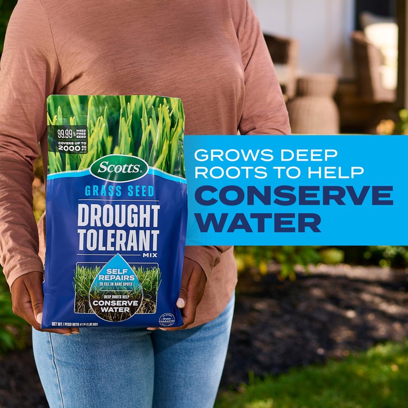 Scotts Grass Seed Drought Tolerant Mix, Kentucky Bluegrass and Tall