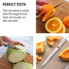 RADA Cutlery Serrated Slicer Knife (R138), 7" Stainless Steel Hollow