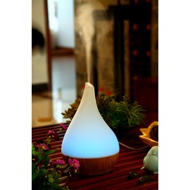 SPT SA-110: Ultrasonic Aroma Diffuser/Humidifier