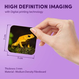 1 x Square MDF Fridge Magnet - Golden Poison Frog Yellow Frogs 45174