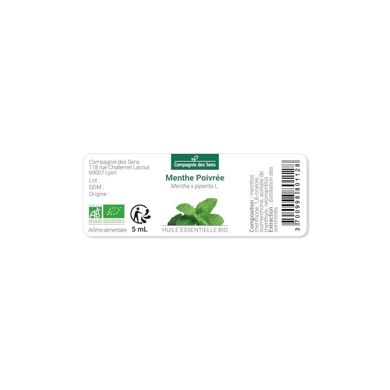 Peppermint Organic - 100 ml - High Quality Essential Oil