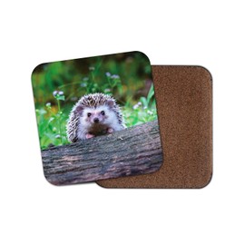 1 x Cheeky Hedgehog Coaster - British Wildlife Garden Cute Funny Nature #14322