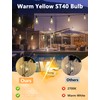 Pallerina 10-Pack Edison Replacement Bulbs ST40 Light Bulbs, 7W 120V