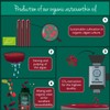 Vegavero Vegavero Organic Astaxanthin 8 mg | Natural Antioxidant Supplements