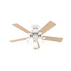 Hunter Fan 44 inch Traditional Fresh White Indoor Ceiling Fan