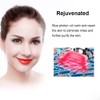 Ultrasonic Magnetic Photon Therapy Cleansing Firming Lifting Beauty Machine Device