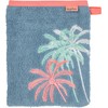 Terry Cloth Wash Mitt