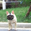 Short Snout Dog Muzzle- Adjustable Bulldog Muzzle Breathable Mesh Dog