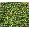 40 Semillas De Chile Piquin - Capsicum Annum Codigo 470