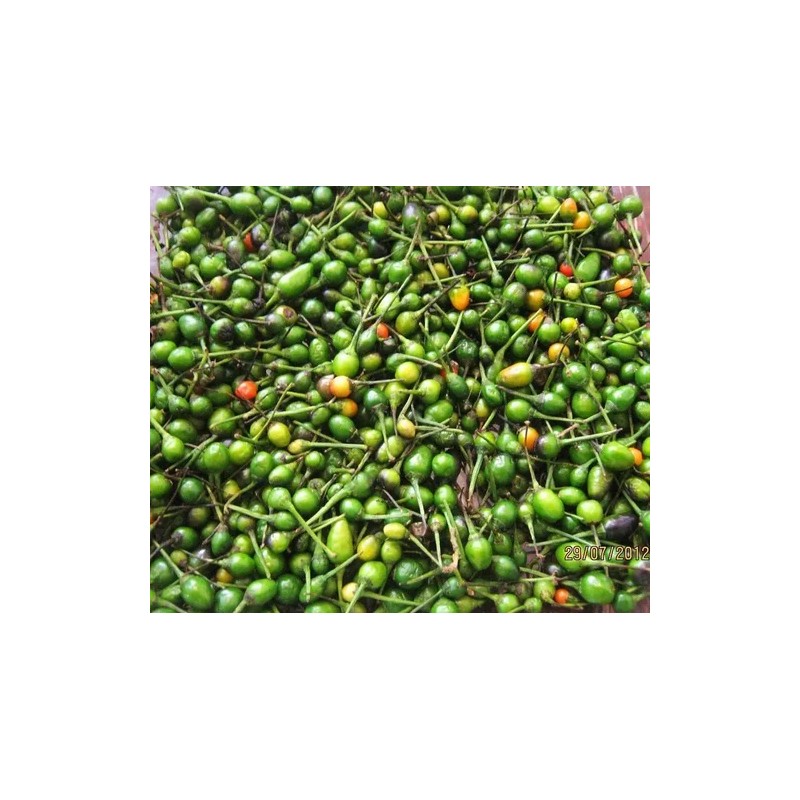 40 Semillas De Chile Piquin - Capsicum Annum Codigo 470