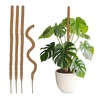 Relaxdays Coconut Sticks Set of 5 Flexible Plant Sticks for