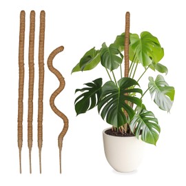 Relaxdays Coconut Sticks Set of 5 Flexible Plant Sticks for Monstera, Ivy and More, 90 cm Long, Coir, Natural, Coconut