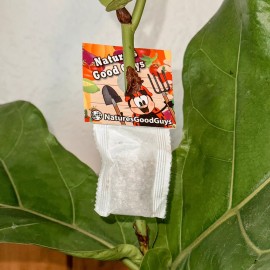 NaturesGoodGuys 25 Slow Release Sachets - Amblyseius Swirskii - Predatory Spider Mite Control