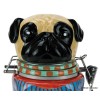Boston Warehouse Pugley Sweater Hinged Ceramic Jar Quality Culinary Container