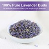 TEARELAE - Lavender Tea, 40 Count - Premium Dried Lavender
