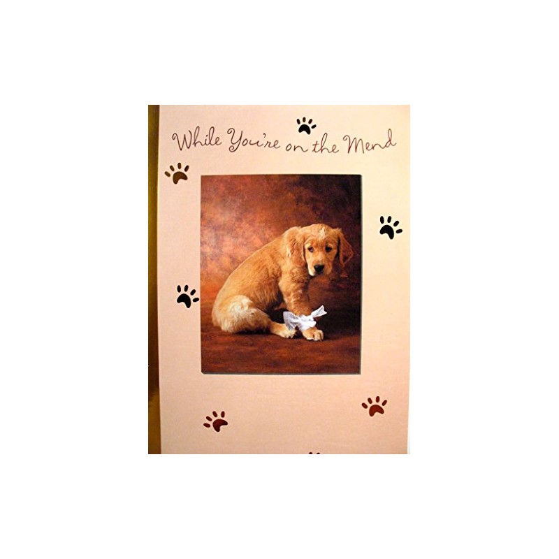 Braille Embossed Get Well Greeting Card - Adorable Lab Puppy