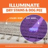 Angry Orange UV Flashlight - Portable LED Black Light for