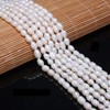 Pearl Beads, Natural Oval Freshwater Cultured White Pearl Loose Beads Quality Rank A for Jewelry Making Charms Necklace as Gift 5-6mm 14.2 inches (2 Strands)