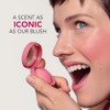 Blush - # 03 Brun Cuivre by Bourjois for Women