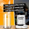 Santa Cruz Paleo - Creatina En Polvo - 400G