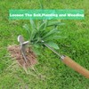 EVAYangSG Weeding Artifact Uprooting Weeding Tool, 4-Teeth Uprooting Dandelion Weed